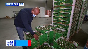 44K views · 210 reactions | The use-by dates of fresh produce and meat could soon become longer and more precise. Australian data tracking devices are following food from the farm to the shelf, preventing waste and saving consumers cash. #9News | Nightly at 6pm | 9 News Melbourne | Facebook