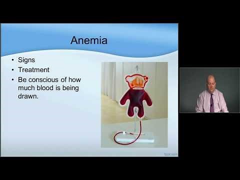 Pediatric CCRN Exam Review: Hematology and Immunology - MED-ED
