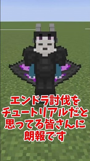 エンドラから装備を作れるMODがすごい【MOD紹介】