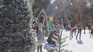 136 reactions · 29 shares | Use promo code EARLYOWNER and receive 25%...