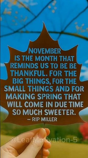 Sweet November | Best November Quotes #shorts