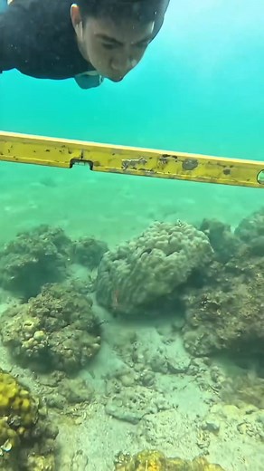 1M views · 39K reactions | Viral Construction Compilation #lomtv #trendingreelsvideo | Lomtv | Facebook