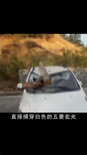 滿載貨車超速轉彎失控，車上木材直接貫穿轎車 #货车 #车祸 #侧翻 #贯穿 #视频