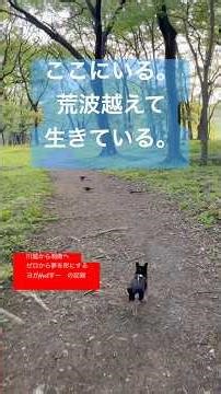【好きなゲームは？】生き残る冒険 #ヨガサークル #初心者 #川越 #オンライン #サバイバル