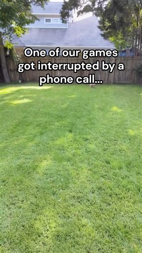 3.3M views · 44K reactions | Not all everyone is bad! Wait for it…❤️ #wholesome #animals #dog | StoryTime | Facebook