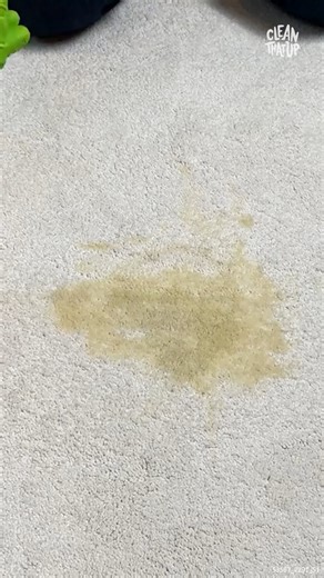 41K views · 265 reactions | How to REMOVE Pee From Carpet #CarpetCleaning #CleaningTips #PetCleaning #PetOwnerTips | Clean That Up | Facebook