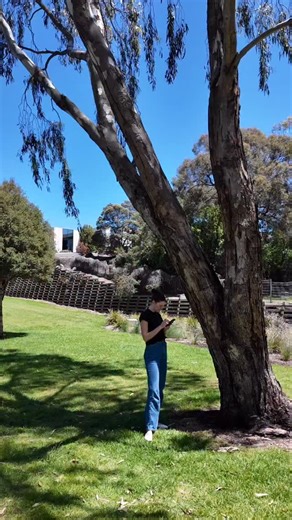 2.9K views · 42 reactions | The music to your ears you never knew you needed… Set your alarms for the 21st of November, we have some star guests ready to take Centre Stage ✨ #podcast #calisthenics #tocentrestage #calisthenicsvictoria | Calisthenics Victoria | Facebook