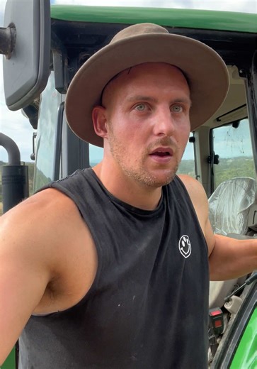 Garden Landscaping Progress Update in Gippsland