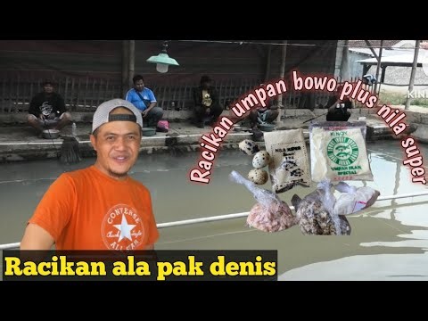 BOWO PLUS SUPER NILA BAIT MIX || IMMEDIATE CARP RECIPE