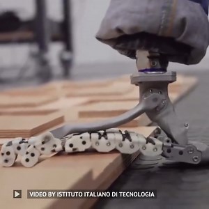 A motorless, flexible prosthetic foot inspired by the anatomy of the human extremity and waterproof is the new SoftFoot Pro bionic foot prototype, designed by the Istituto Italiano di Tecnologia (IIT-Italian Institute of Technology) in Genoa in collaboration with Centro E. Piaggio of the University of Pisa. Its design is unique on an international level and aims to serve both as a flexible technological prosthesis for people with disabilities and as a solution for the humanoid robots of the futu