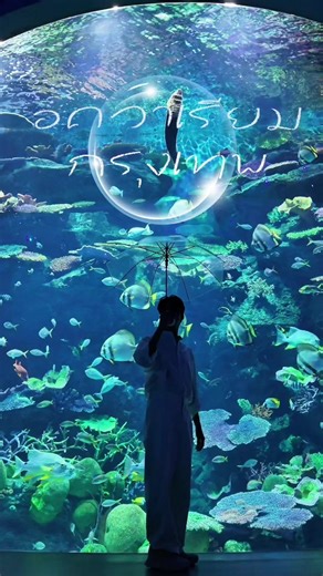 🐳 ยามฝนพรำ ฉันยัง คงคิดถึงเธอทุกวัน กับ อความเรีย ฮิวใจ ด้วยน้องฝูงปลาจากใต้ทะเล ที่ Sealife Bangkok Ocean World 🐧🐟 #sealifebangkok #glowingoceandiscover #SiamParagon #เที่ยวกรุงเทพ #อควาเรียม