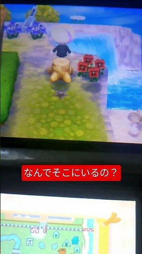 とび森無限増殖バグを応用するとこうなる #とびだせどうぶつの森 #どうぶつの森 #バグ技