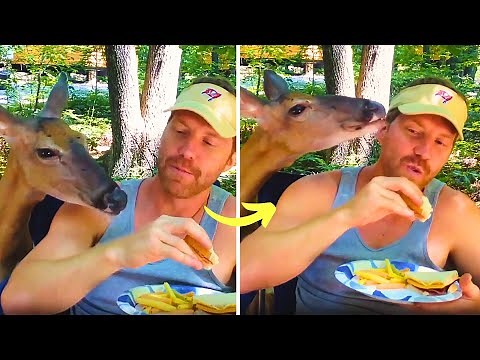 Camping Catastrophes: Hilarious Outdoor Fails!