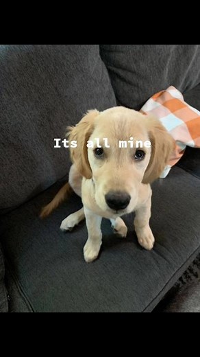 TikTok · Laurennnnn:)