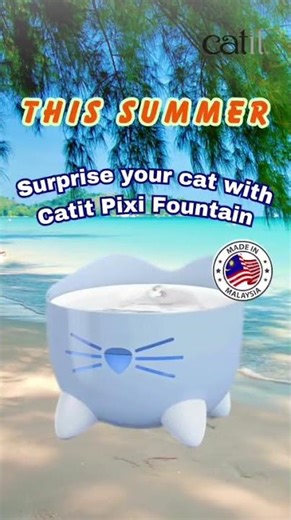 Cat Not Drinking Water? This Will Change That!