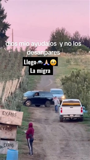 llego la migra🥺🙏🏻🚓al trabajo #campesinos #inmigrantes #oxnard #migracion #sueñoamericano #Washington