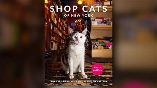 'Shop Cats of New York' explores community through felines