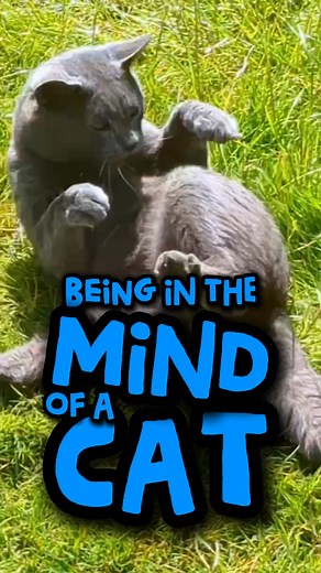 92K views · 4.4K reactions | Hello my familovelies! Here I have put...