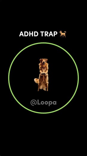 Dog Dance Memes That Are Satisfyingly Fun