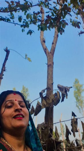 A͢ARTI YADAV 🔵 on Instagram: "Subscription tool mill Gaya hai.🎉🌷|#trendingreels #viral #viralvideo #khesharilalyadav"