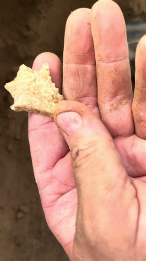 Arrowhead hunting North East Georgia! David finds a killer!!!