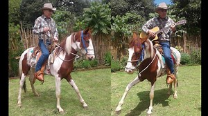 El Corrido de David Reyes. ( Vicente Balcárcel) | Vicente el Ocurrente