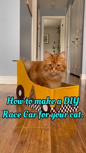 Step-by-step instructions to make a DIY Race Car for your cat! | The Oreo Cat