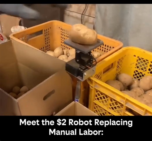 Meet the $2 Robot That’s Replacing Manual Labor 🤖🥔 This simple $2 robot is doing what humans have done for decades — sorting potatoes — but faster, cheaper, and without fatigue. No AI hype, no complex software — just smart engineering solving a real-world problem. As automation becomes more affordable, tools like this could reshape agriculture, factories, and small businesses worldwide. Would you trust a $2 robot with your job? 👀 #Automation #Robotics #FutureOfWork #Engineering #TechInnovatio