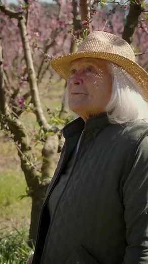 116K views · 69K reactions |  Feliz cumpleaños, Mónica! Gracias por hacernos parte de tu sueño, por inspirarnos cada día con tu amor por la tierra, por la historia, por lo simple y por las cosas hechas con el corazón. De parte de todo el equipo de La Campiña  #naturaleza #monica #sanpedro #campo #campiña #cumpleaños #felizcumpleañosmonica | La Campiña de San Pedro | Facebook