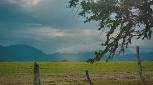 Landscape of a large open field on a sunny afternoon - Free Stock Video