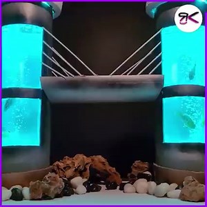 37K views · 317 reactions | PVC Pipe Fish Tank  | RusticKraft | Facebook