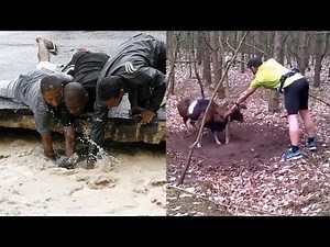 TOP Animal Rescues, Emotional/Inspiring/Funny Will Melt Your Heart Compilation. REAL LIFE HEROES
