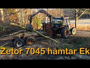 Hämtar en ek med Zetor 7045 och griplastare (Tröskagarget del 2)