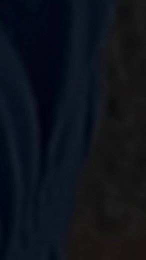 High-Visibility Safety Vest - Outdoor Daytime Activity