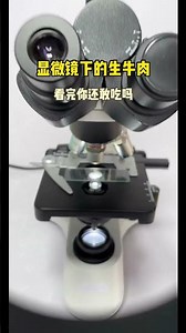 牛肉真的可以生吃嗎？#顯微鏡下的世界 #微觀世界 #科普一下 #牛肉 #食品安全
