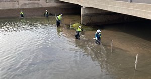 Why SRP is relocating fish and draining Valley canals