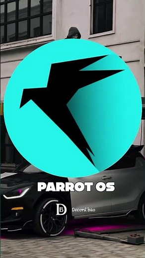 Top 4 Best Operating Systems for Ethical Hacking & Cyber Security