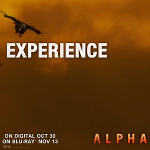 2.5K views · 90 reactions | Don't miss the must see film and experience the incredible story of how mankind discovered man's best friend. #AlphaMovie arrives on Digital TUESDAY. On Blu-ray & DVD 11/13. sonypictures.us/dsGCSS | Alpha | Facebook