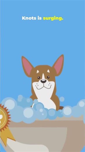 CORE VS KNOTS 2 5%… It’s Over #bitcoinanalysis