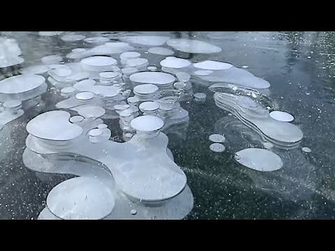 Incredible bubble formation underneath in frozen lake