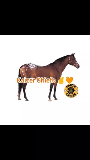 Latest Updates on South African Football Teams