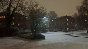 The snow is here! | Halesowen News