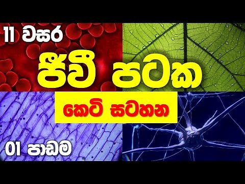 O/L Science Sinhala | Grade 11 Science Unit 1 | 11 විද්‍යාව 1 | ජීවී පටක