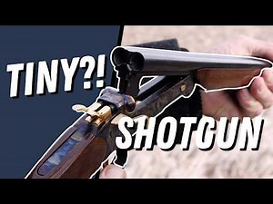 This Tiny Shotgun Might Surprise You!!