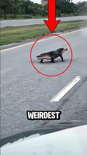 🔥 The Craziest Two-Headed Animals Ever Discovered 😱