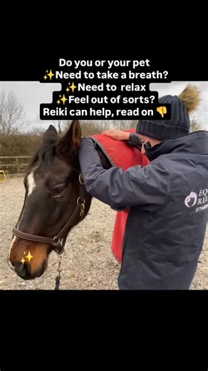 Reiki brings calm, balance, and healing energy to both people and pets. Less stress, more peace. Time for some reiki? #ReikiHealing #AnimalReiki #EnergyBalance #healingenergy #reiki #healinghorses #healingvibrations #healinghands | Equine Reiki With Lara