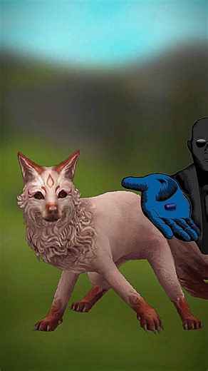 Wildcraft fox vs wolf #wolftales #wildcraft