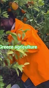 #europ #agriculture #agriculturefarming #greece