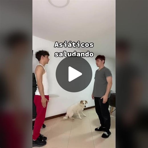 Cuentas recomendadas