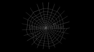 Spider Web Animation with Alpha Channel Stock Footage - Video of abstract, design: 199183750
